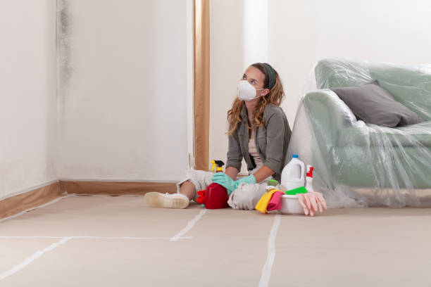 Reliable Mold Testing contractor in Wilson's Mills, NC by WQB Mold Removal